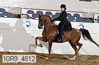 10r9_4812 proof