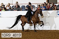 10r9_4819 proof