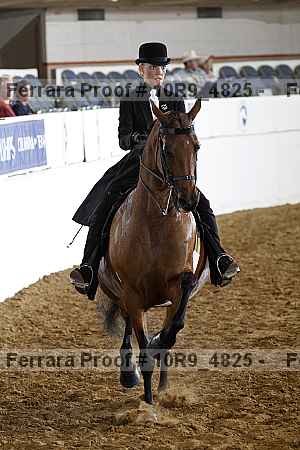Proof 10r9_4825