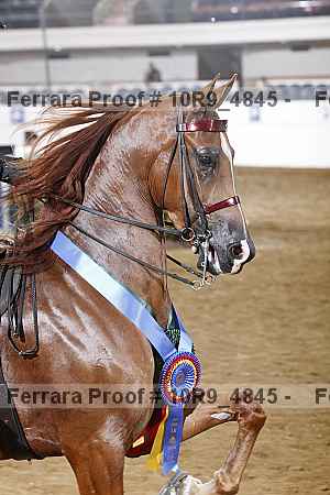 Proof 10r9_4845