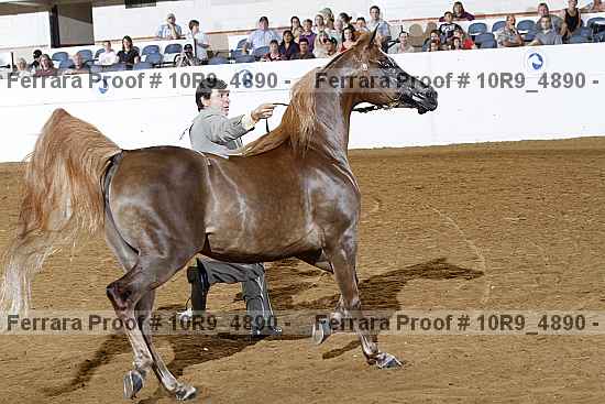 Proof 10r9_4890