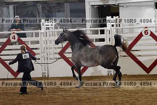 Proof 10r9_4894