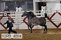 10r9_4894 proof