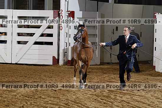 Proof 10r9_4896
