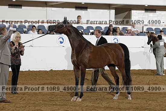 Proof 10r9_4900