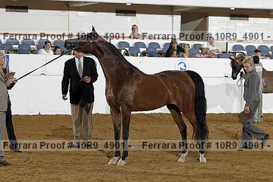 Proof 10r9_4901