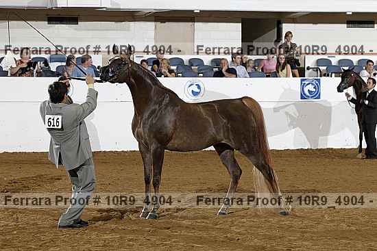 Proof 10r9_4904