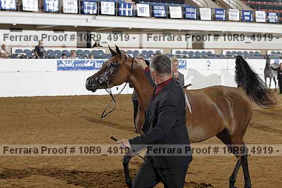 Proof 10r9_4919