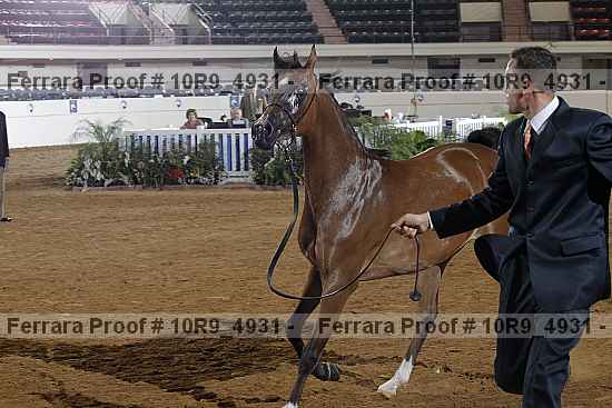 Proof 10r9_4931