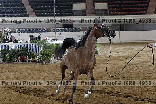 Proof 10r9_4933