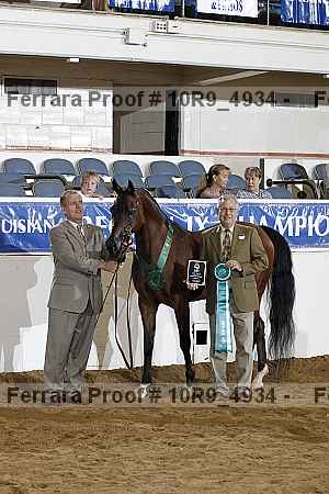 Proof 10r9_4934