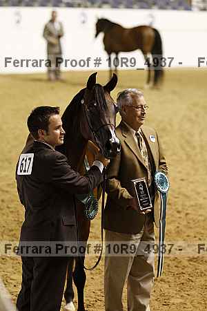 Proof 10r9_4937