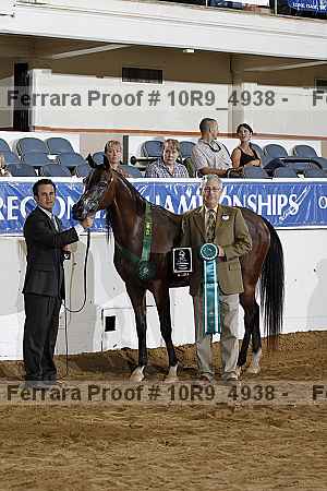 Proof 10r9_4938