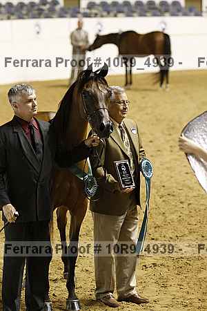 Proof 10r9_4939