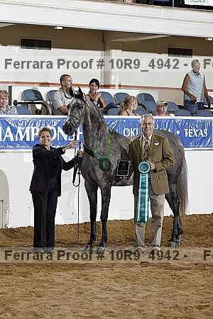Proof 10r9_4942