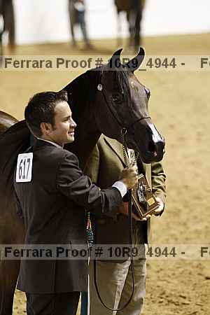 Proof 10r9_4944