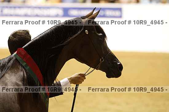Proof 10r9_4945