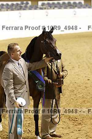 Proof 10r9_4948