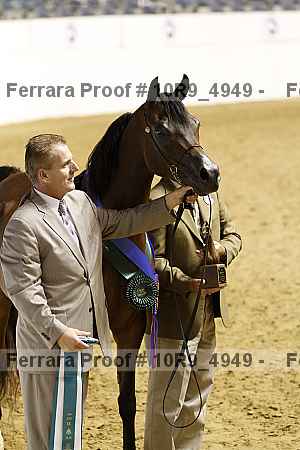 Proof 10r9_4949