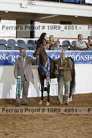 Proof 10r9_4951