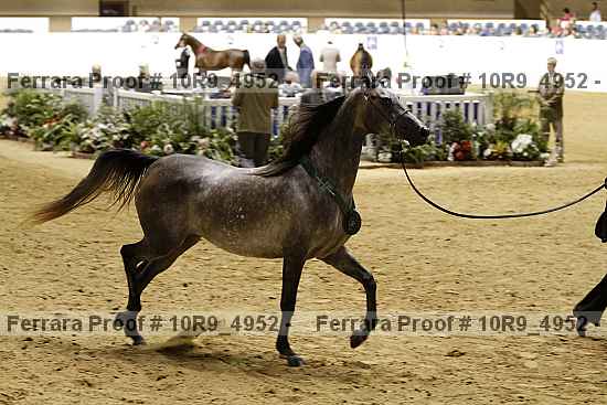 Proof 10r9_4952