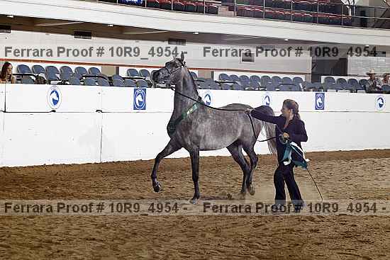 Proof 10r9_4954