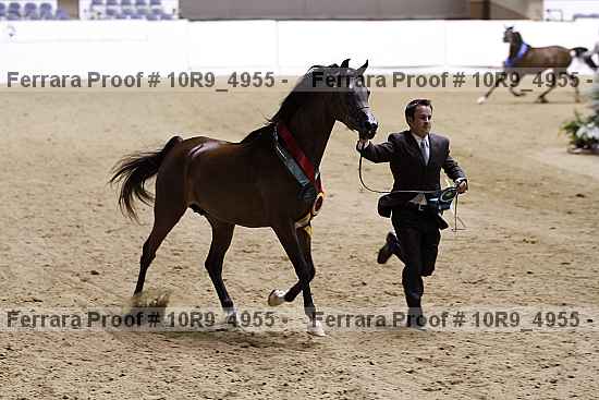 Proof 10r9_4955