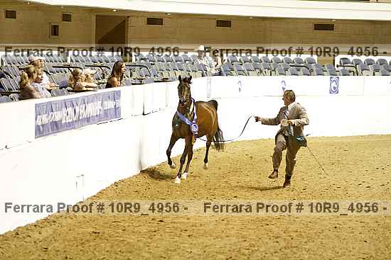 Proof 10r9_4956
