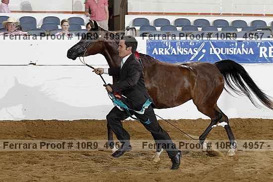 Proof 10r9_4957