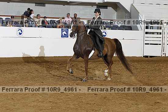 Proof 10r9_4961
