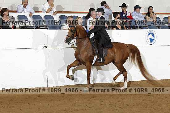 Proof 10r9_4966