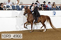10r9_4966 proof