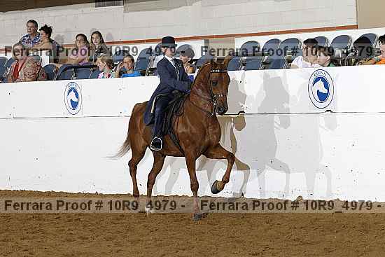 Proof 10r9_4979