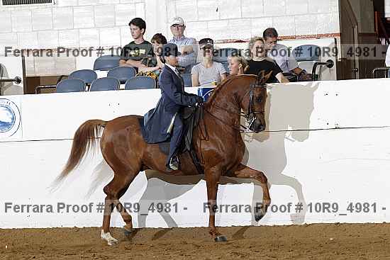 Proof 10r9_4981
