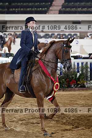 Proof 10r9_4986