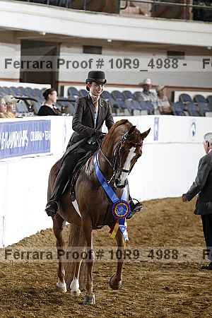 Proof 10r9_4988