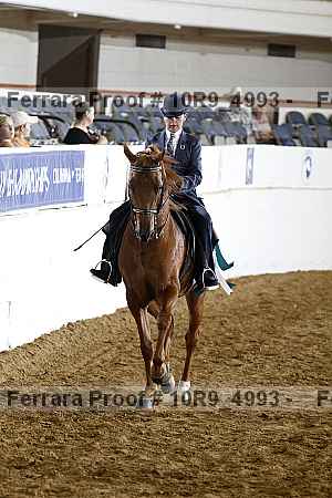 Proof 10r9_4993