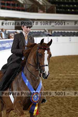 Proof 10r9_5001