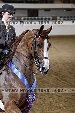 Proof 10r9_5002