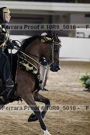 Proof 10r9_5016