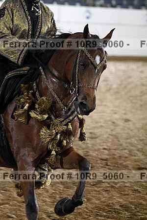 Proof 10r9_5060