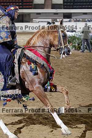Proof 10r9_5064