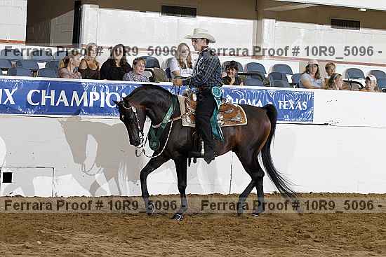 Proof 10r9_5096