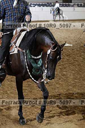 Proof 10r9_5097