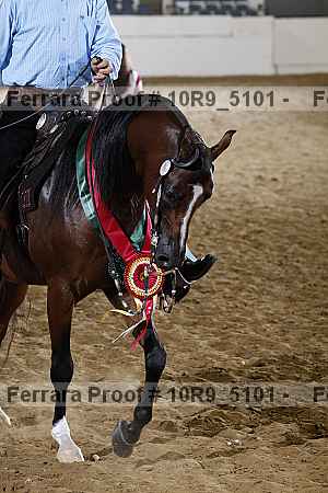 Proof 10r9_5101