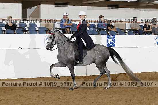 Proof 10r9_5107