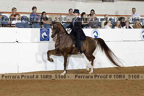 Proof 10r9_5108