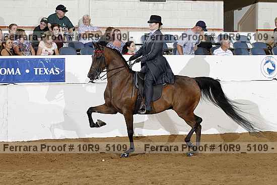 Proof 10r9_5109