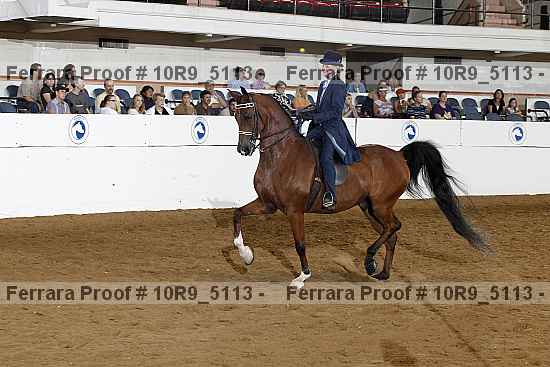Proof 10r9_5113