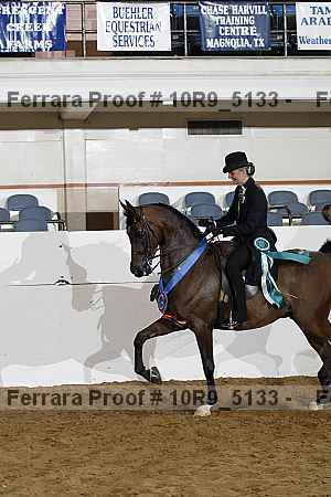 Proof 10r9_5133